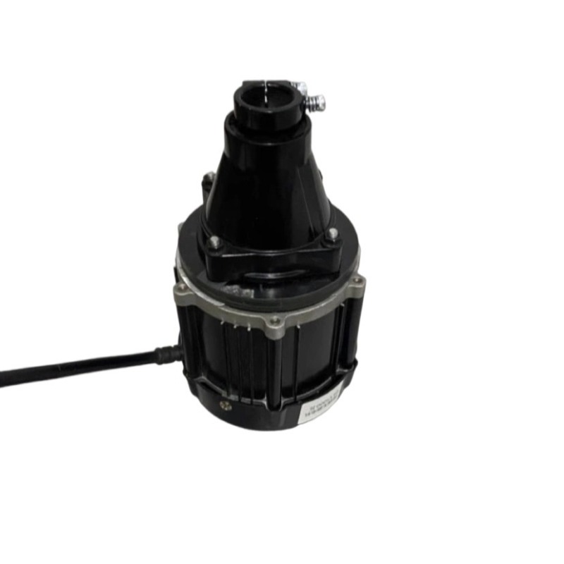 Motor fueraborda sin escobilla - Fishing Kayak Sit On Top reseña y precio