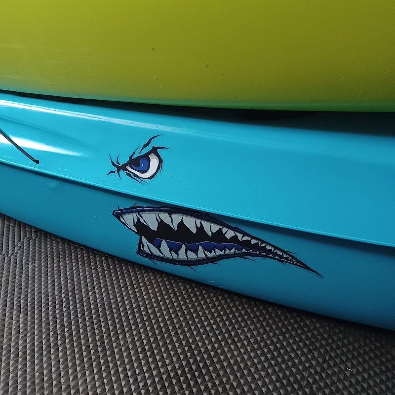 2 uds dientes de tiburón boca  - Fishing Kayak Sit On Top reseña y precio